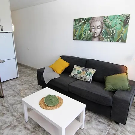 Aloe Floor بلايا ديل إنغلز