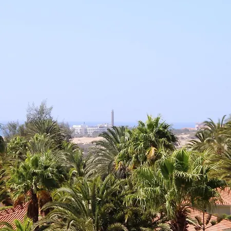 Aloe Floor * بلايا ديل إنغلز